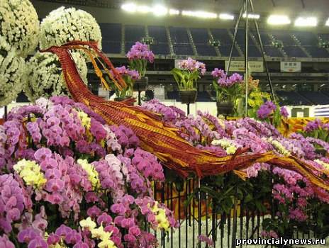 токийский фестиваль орхидей