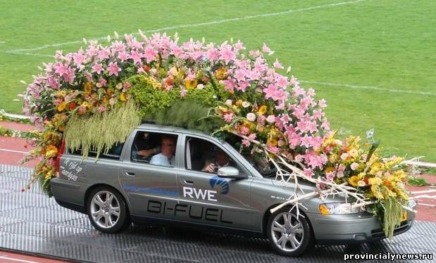 голландский парад цветов