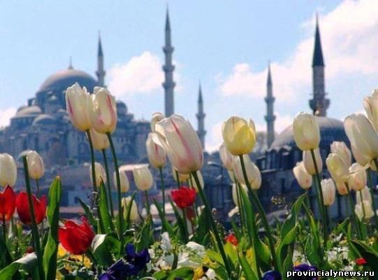 фестиваль тюльпанов в Стамбуле
