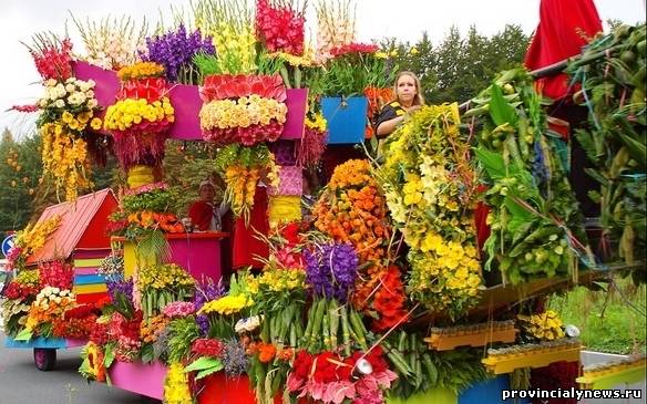 парад цветов в Голландии